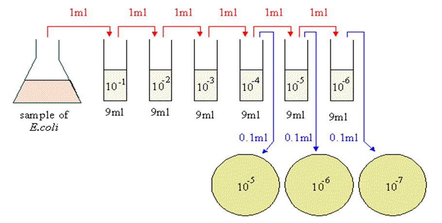 如何稀释eps(如何稀释酒精浓度)